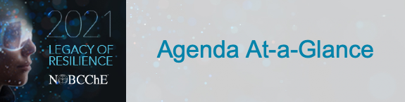 The phrase Agenda At-a-Glance written in light blue inside an almost translucent white box superimposed over the 2021 Conference logo.